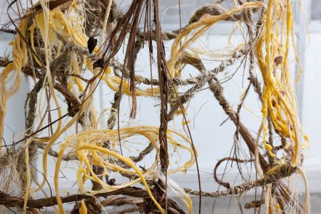 R. Boudoir by Aroha Jensen